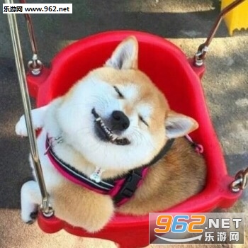ȷ�Ϲ������ǲ��������˱������ͼ2