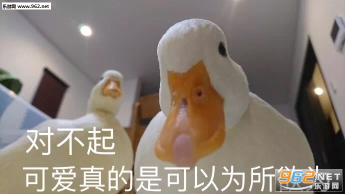 ����������ѼѼ�������ͼ2