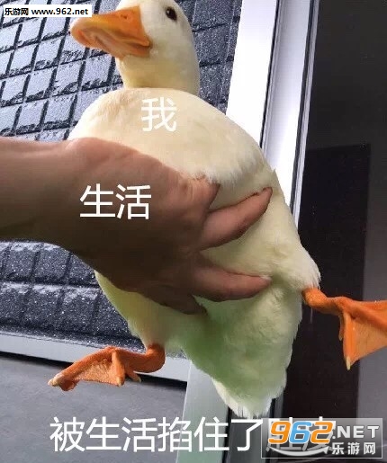 ����������ѼѼ�������ͼ3