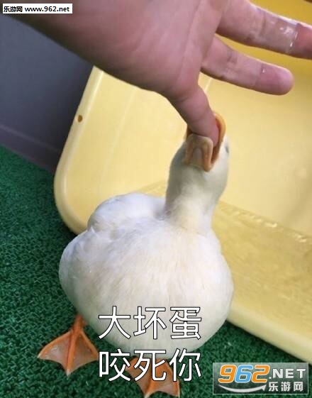 ����������ѼѼ�������ͼ8