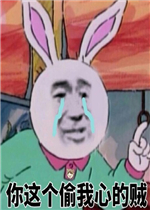 �����͵���ĵ��������