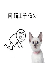 ��XX��ͷ�����