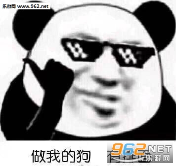 我懂我懂表情包图片截图5
