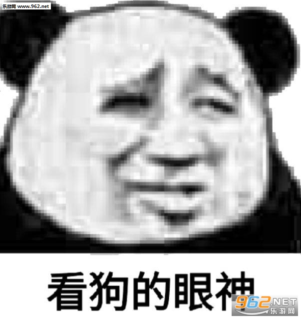 我懂我懂表情包图片截图6