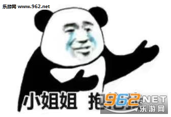 我懂我懂表情包图片截图10