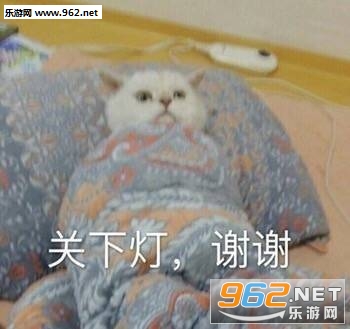 我懂我懂表情包图片截图9