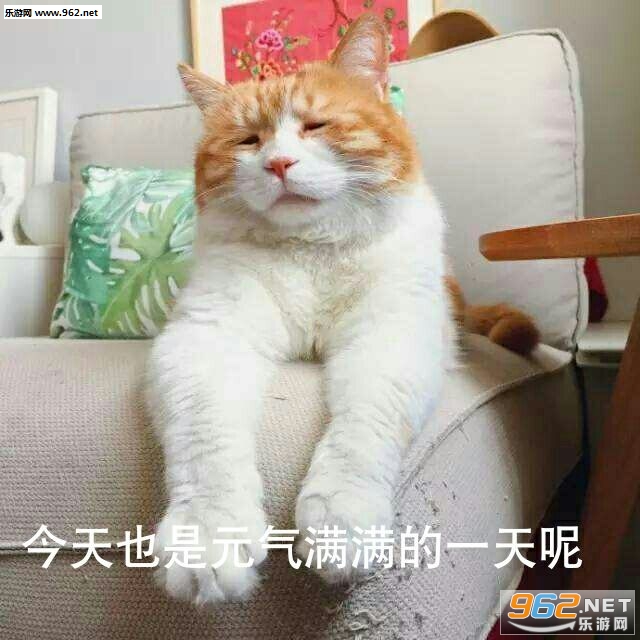 ��������Ԫ��������һ��ϵ�б������ͼ0
