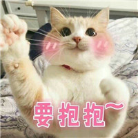 微信敲可爱的猫咪表情包截图0