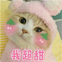 微信敲可爱的猫咪表情包截图1
