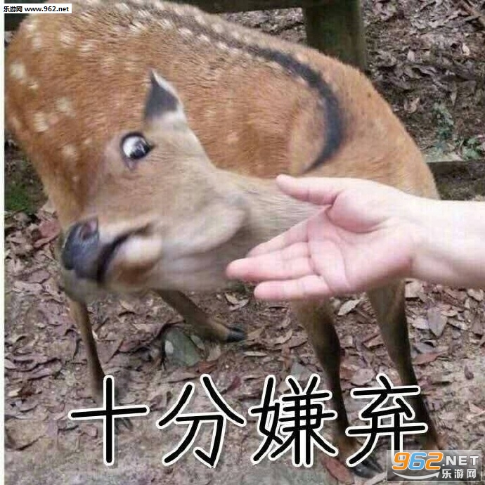 Ůװ���е����ӱ������ͼ10
