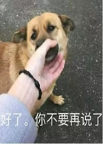 ˲����������ı����