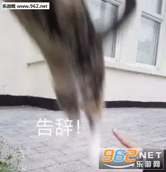 ˲����������ı������ͼ2