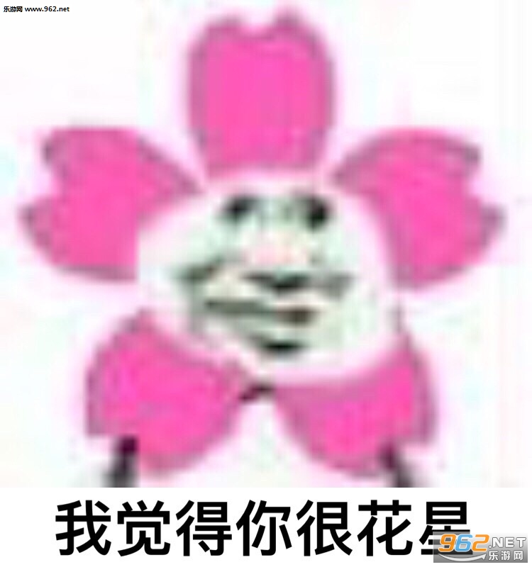 给你比星我觉得你很花星表情包图片大全截图12