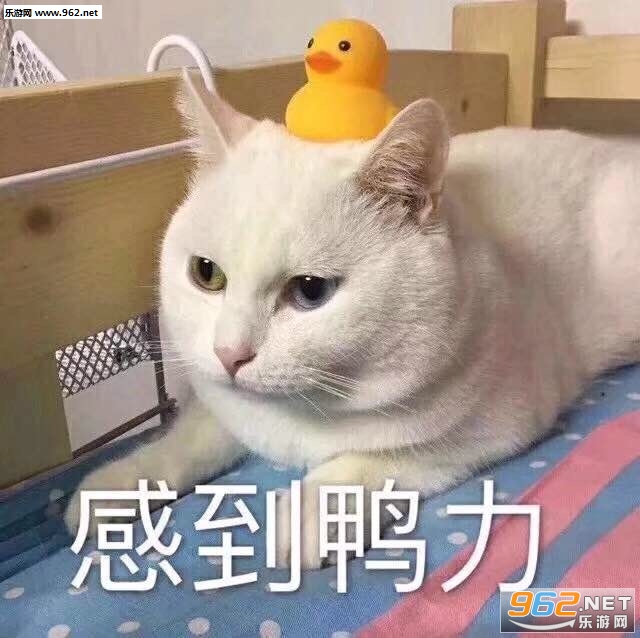 ��ӭ�Լ����߱����ͼƬ��ͼ7