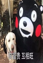 ��������ͷ�����