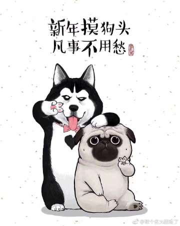 �������޹����겻�������������