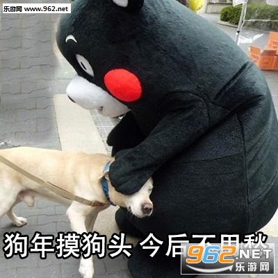 �������޹����겻���������������ͼ0
