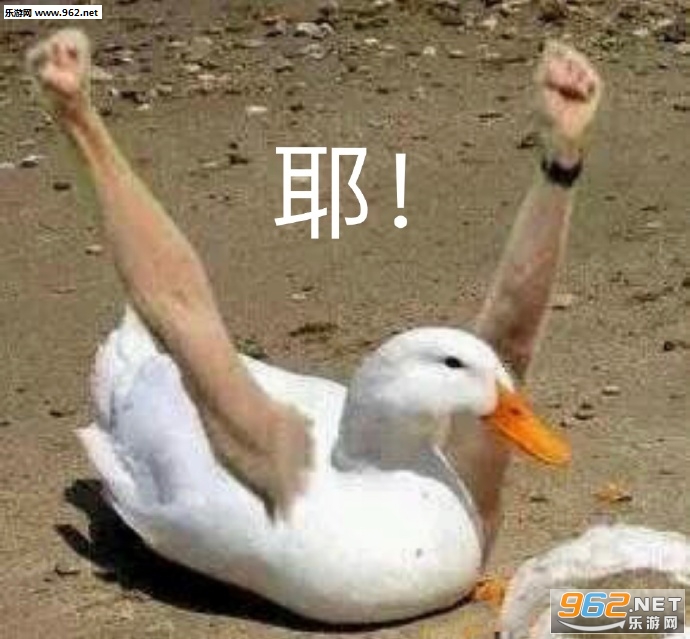 һ˿Q����ʲô��˼�����ͼƬ��ͼ0