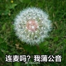 �������������������������ͼ1