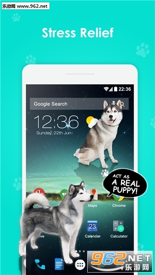 iDog - 狗在屏幕上软件截图2