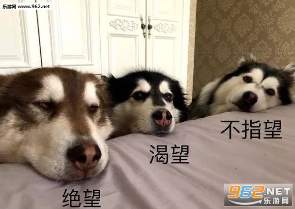 �ҿ�ϲ�����˱������ͼ5