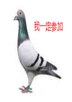 ���ӱ������һ����