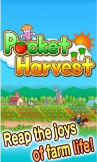 口袋农场Pocket Harvest官方版截图4