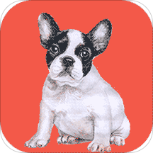 ��������app