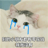 ����è��������ͼ1