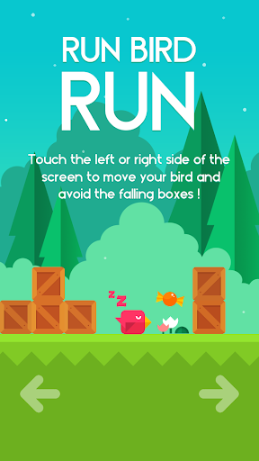 Run Bird Run(С����Ӱ�׿��)��ͼ0