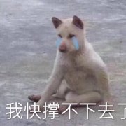 ��ɥ�ָ����������ͼƬ��ͼ1