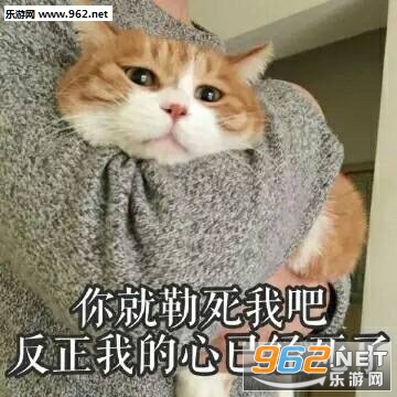 emmmm想你想我想你表情包图片截图4