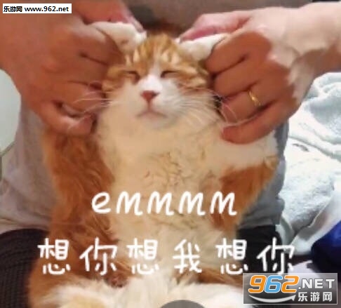 emmmm想你想我想你表情包图片截图5