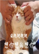 emmmm����������������ͼƬ