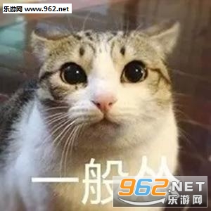 è�����˱������ͼ2