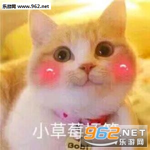 è�����˱������ͼ5