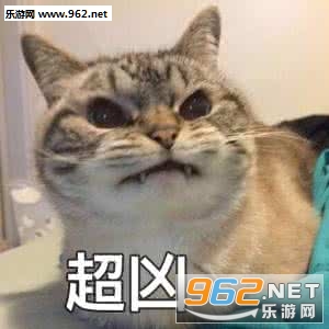 è�����˱������ͼ6