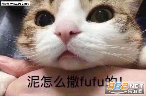 è�����˱������ͼ7