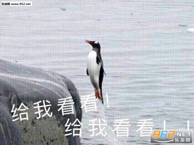 ���ǵ�������ı����ͼƬ��ͼ2