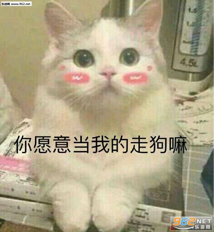 ei���ű������ͼ2