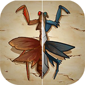 Insect.io 2: Beetles War(Insect.io 2 �׳�ս�����ΰ�׿��)