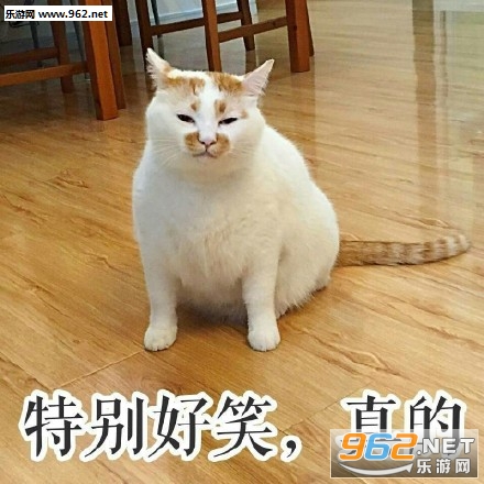 天干物燥小心她闹表情包图片截图2