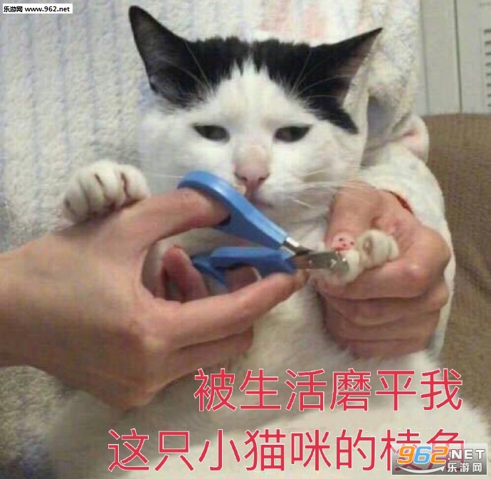 С������������ͼƬ��ͼ3