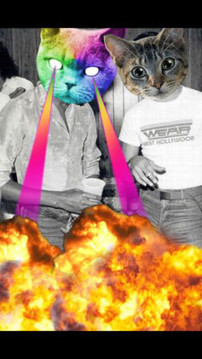 Cat Wang(catwang��ͼ����)��ͼ0