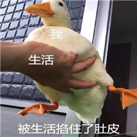 ��˵���ǲ������С�ɰ�Ѽ�������ͼ0