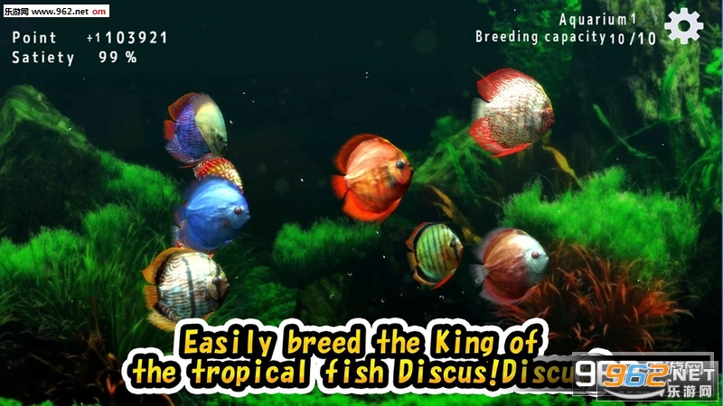 discus(�ȴ���ˮ�������)v1.0��ͼ2
