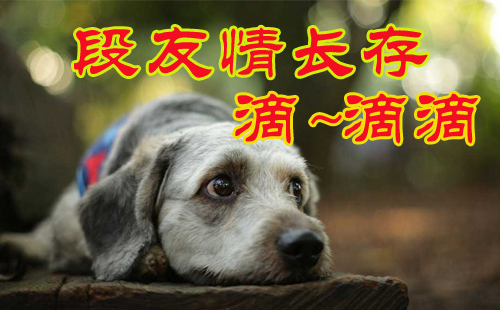 �����ں����ӵ�����_2018��Ц����Ķ���app ������