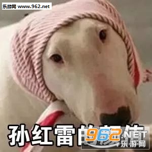 ����ʽ����ϵ�б������ͼ1