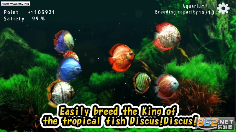 discus(�ȴ���ˮ��ݹٷ���)��ͼ1