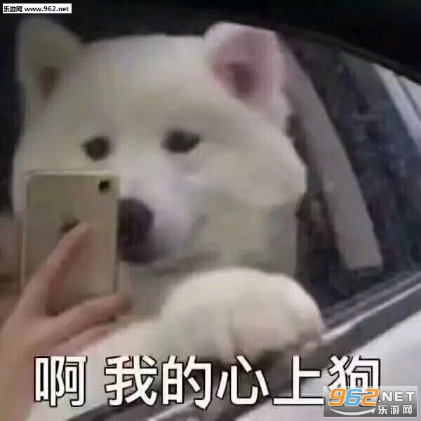 噫呜呜噫表情包截图0